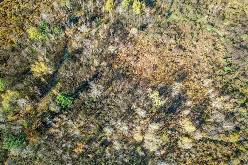 Clark 24.75 Winkel -42