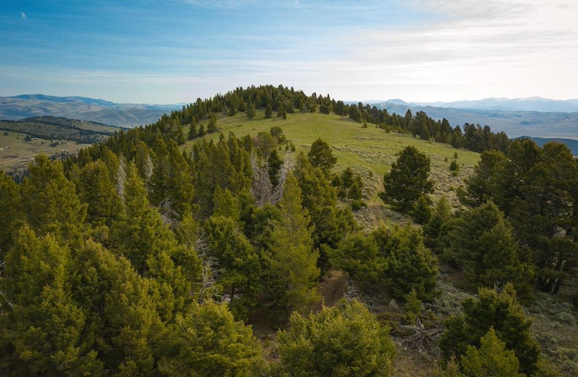 2. 20240513-DJI_0003