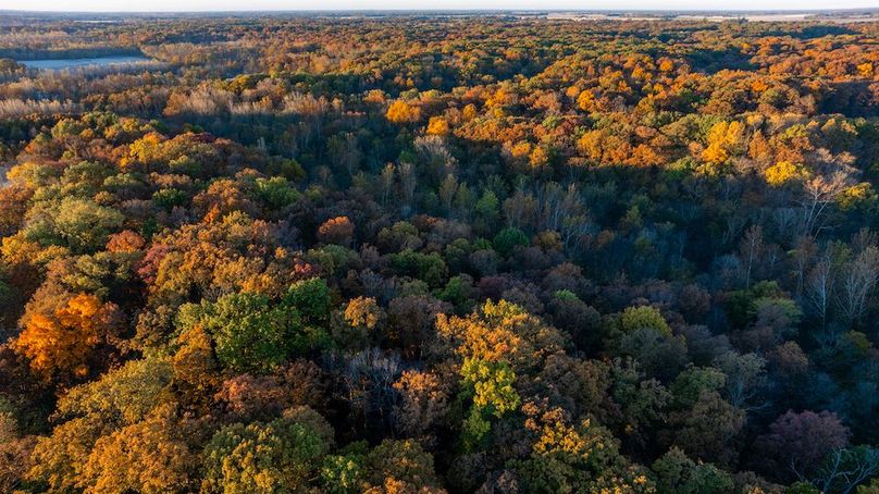 DJI_20251105181207_0026_D