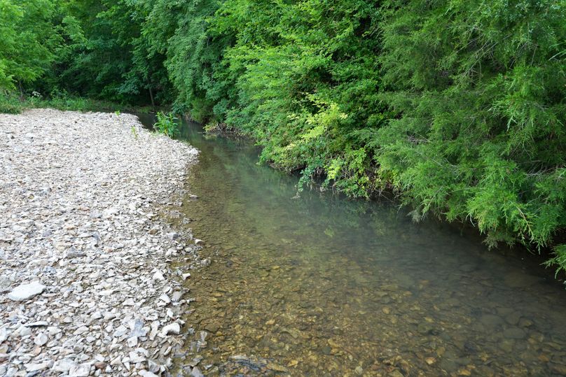 DSC01217