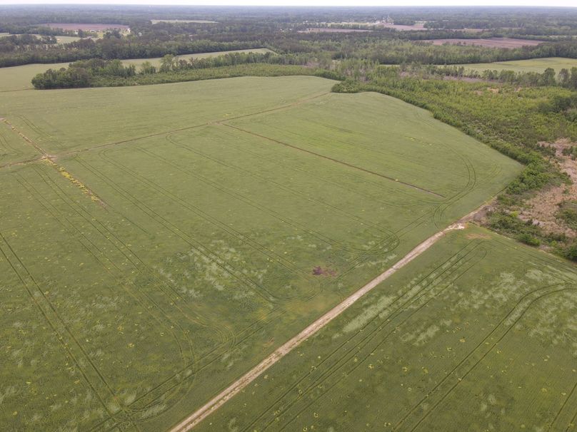 dji_fly_20230424_134012_823_1682358139117_photo