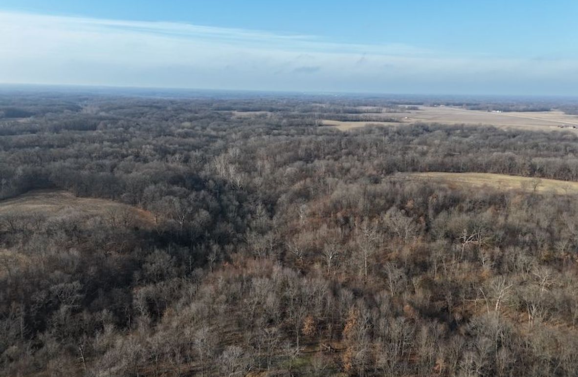 DJI_20240203091553_0118_D