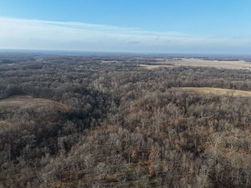 DJI_20240203091553_0118_D