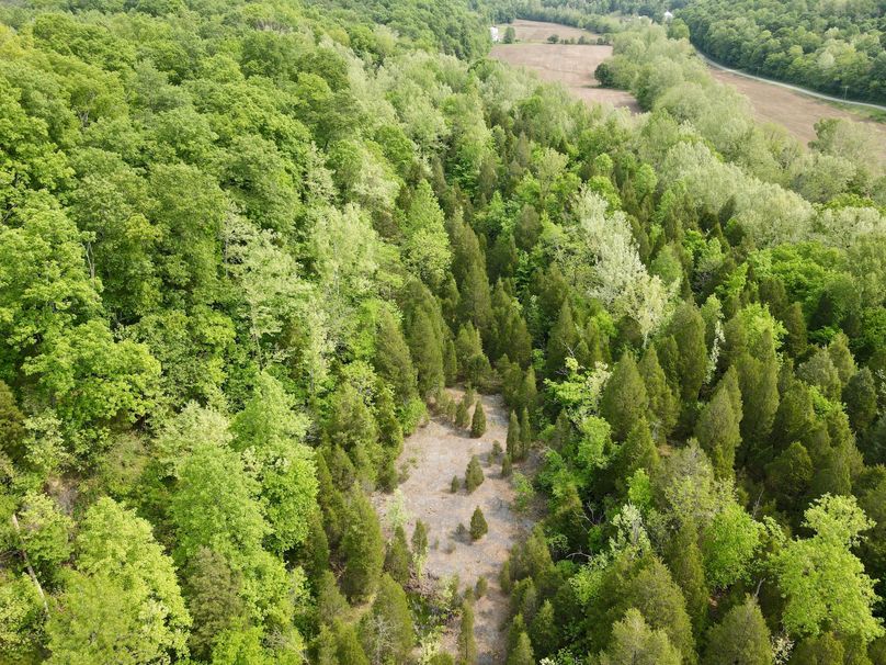 dji_fly_20230517_101412_391_1684336465893_photo