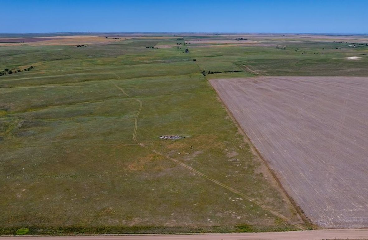 DJI_20250623110419_0358_D-HDR