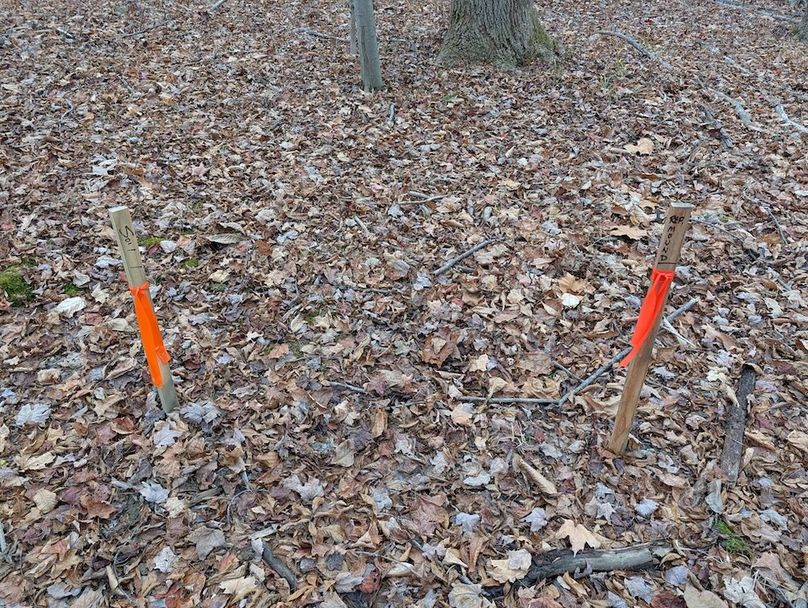 PXL_20251120_190834784