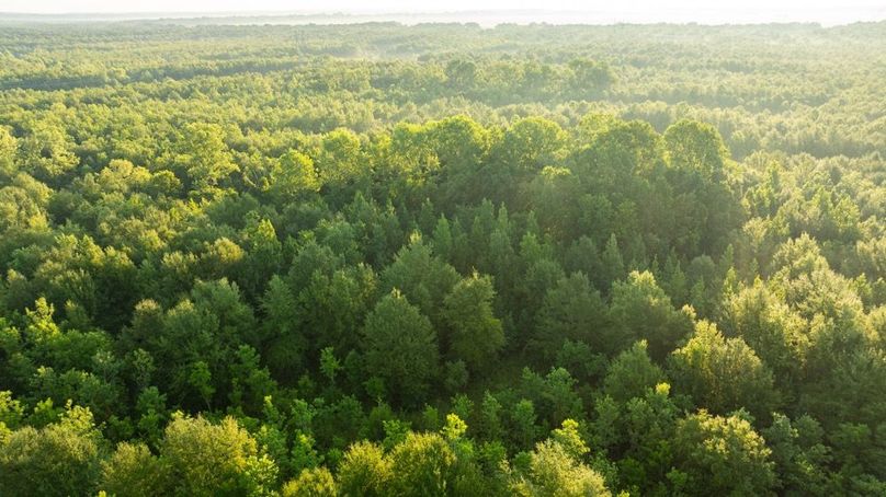 MadisonParLa1372-091