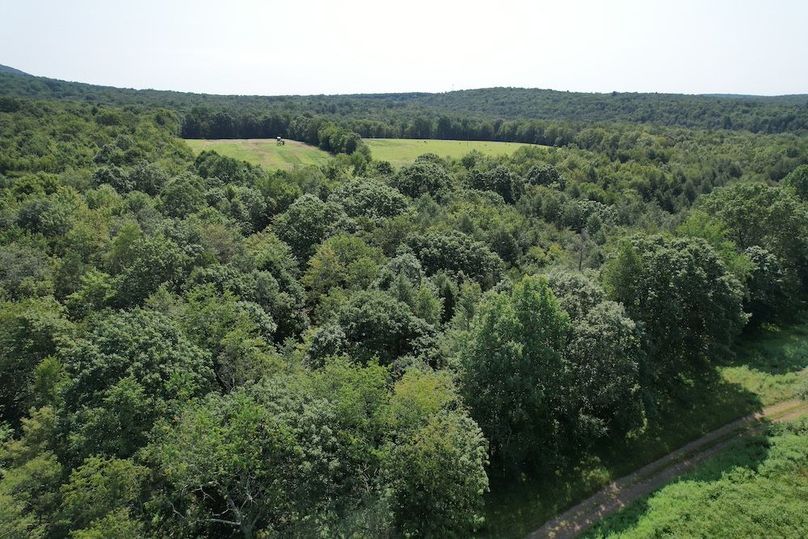 Copy of dji_fly_20250808_110142_152_1754665471606_photo