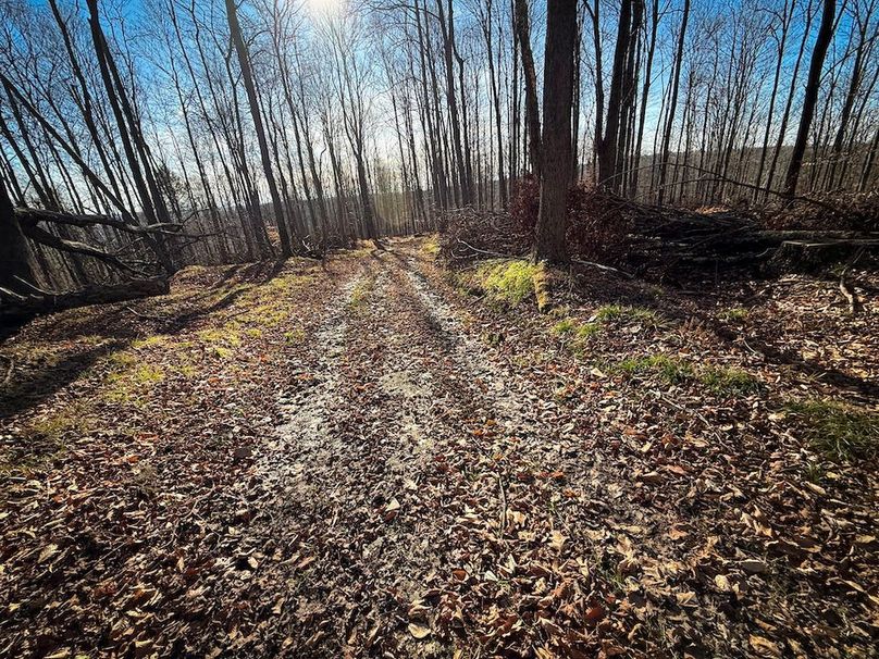 Chemung_31.75_Seymour_North_Photos_31