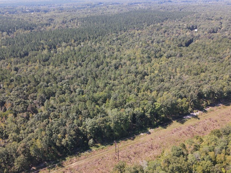 DJI_0089