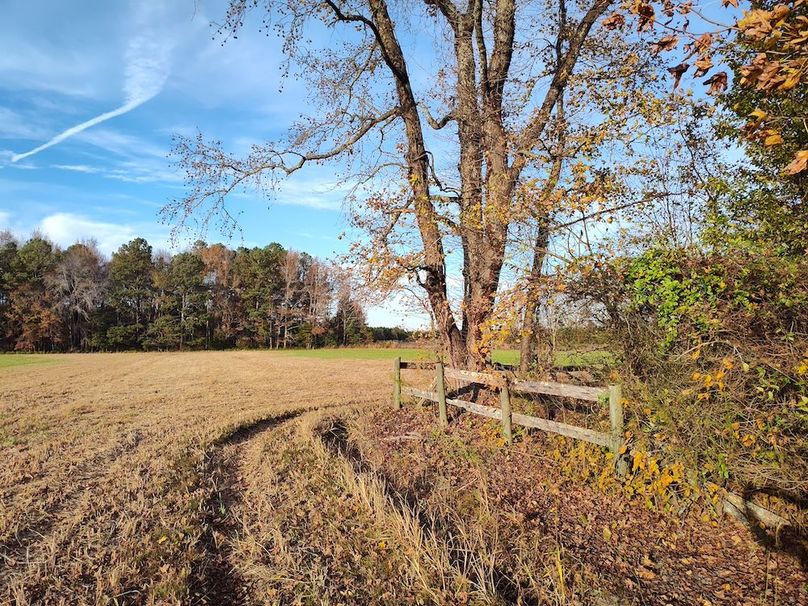 IMG_20251105_155408628