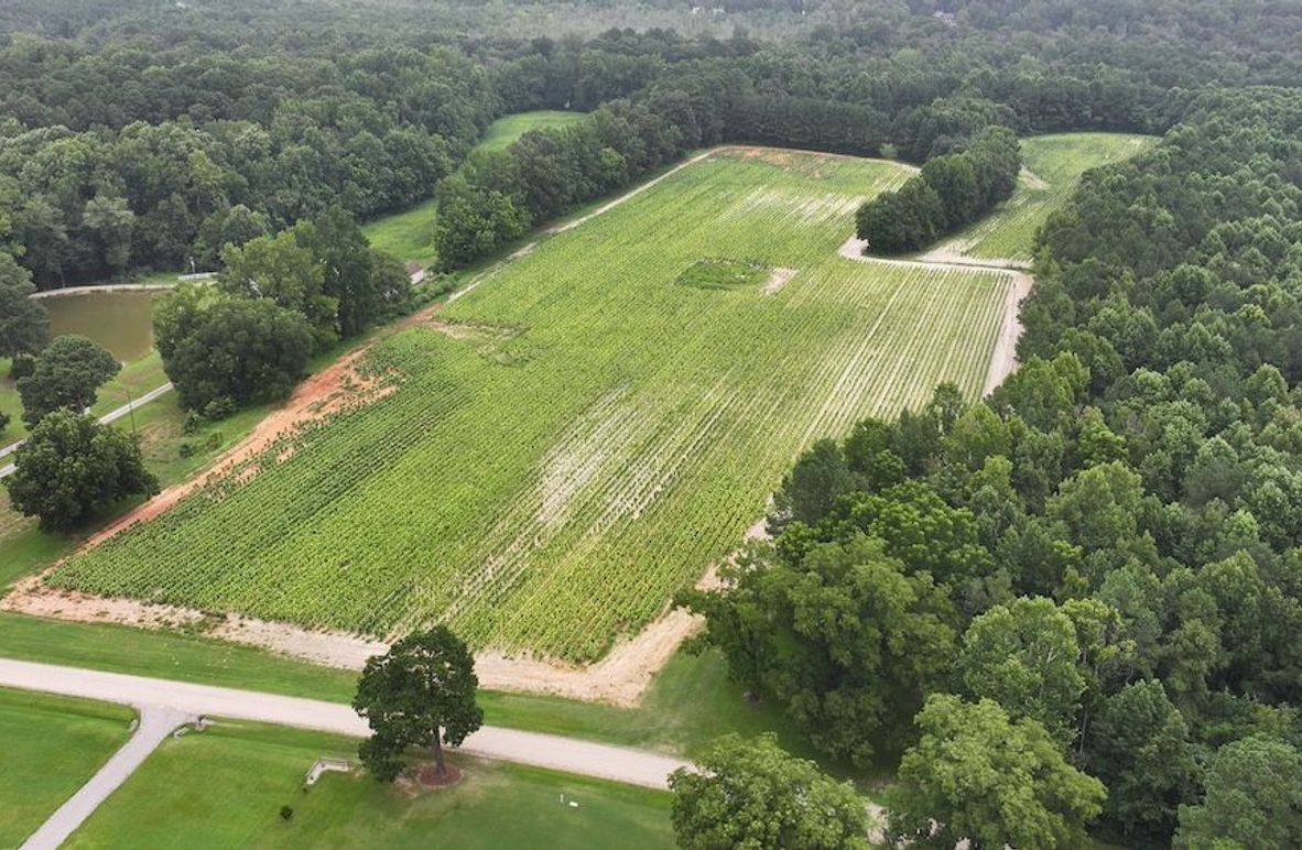 DJI_20250715001741_0149_D