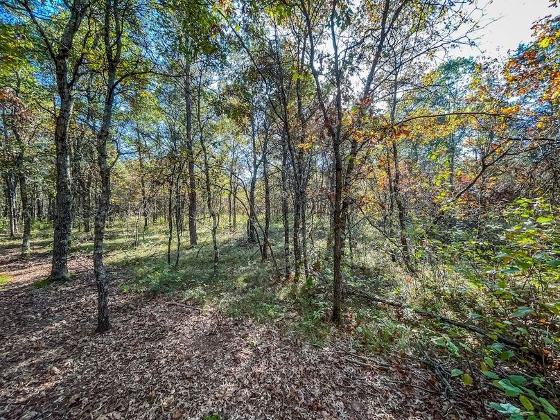 Juneau 27 Wiesner -090