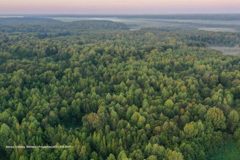 DeSoto 109 Prewett -18