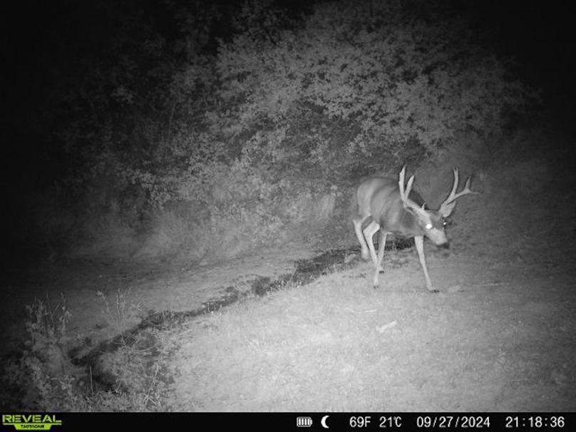 860516063676799-100-3-09272024211836-V-W1006455