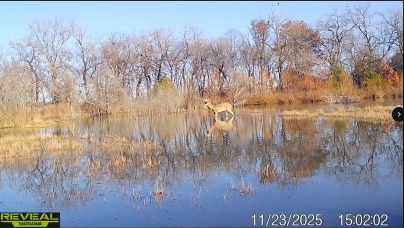 Screenshot_24-1-2026_82928_drive.google.com