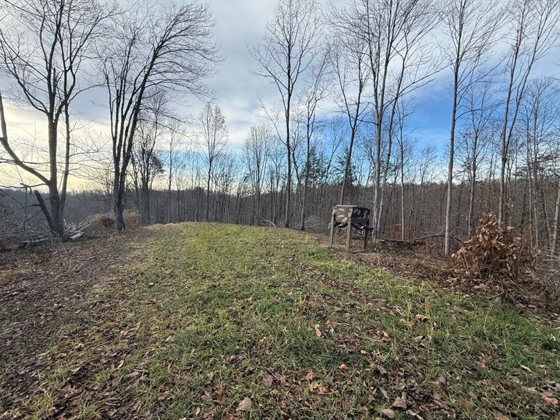 026 the center point food plot with feeder