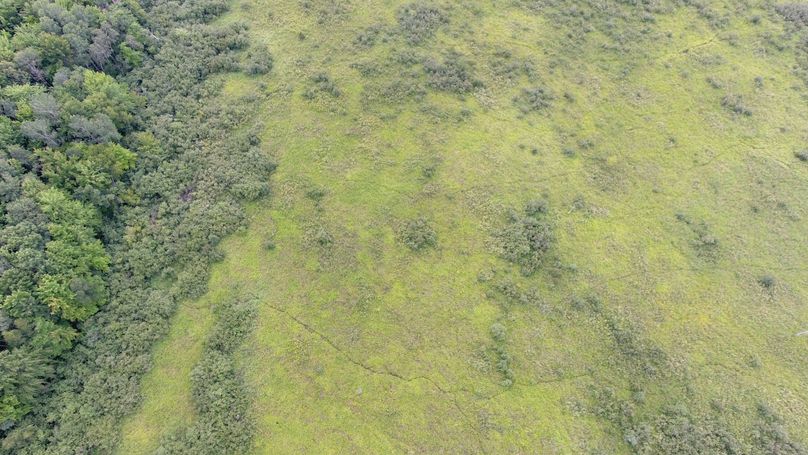 DJI_0222