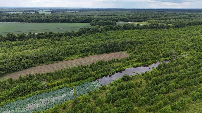 DJI_20240720044509_0015_D