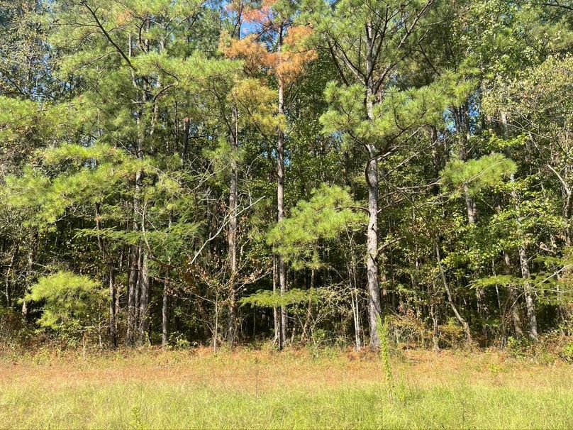 57487E5D-5E28-48BA-9351-F36C4E1057D6_1_105_c