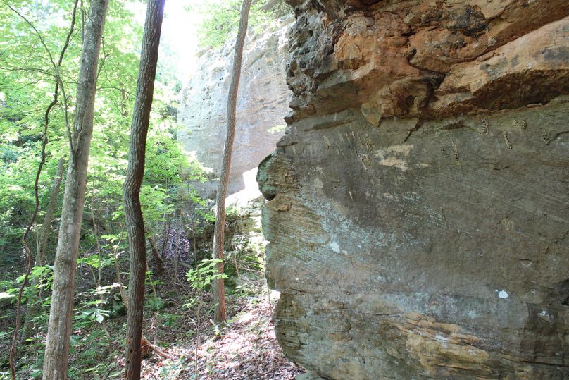 015 from the rock overhang looking across to the adjoining rock face