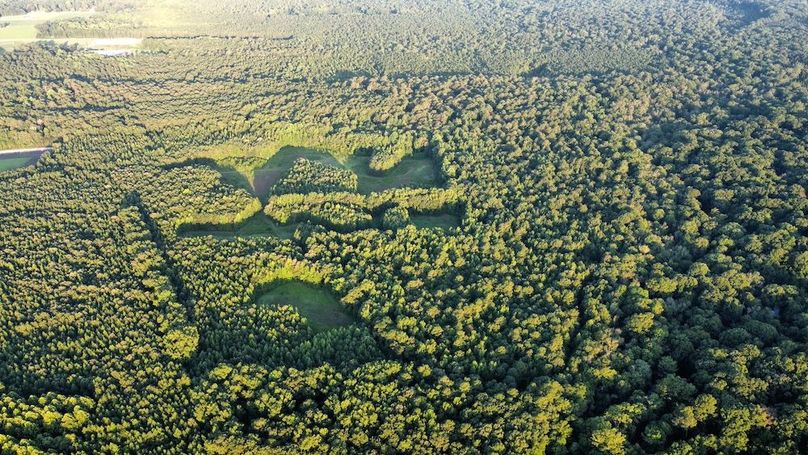 dji_fly_20250726_070348_478_1753527968196_photo_optimized