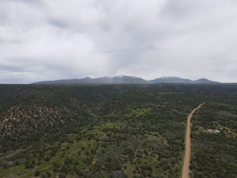 dji_export_1685968247552