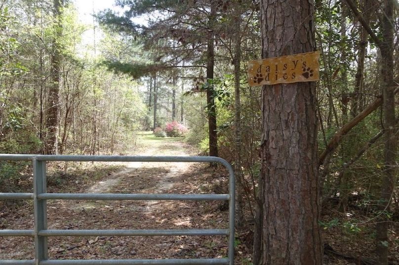 B013DF1B-8071-48B2-A985-411552BACD51_1_105_c-2