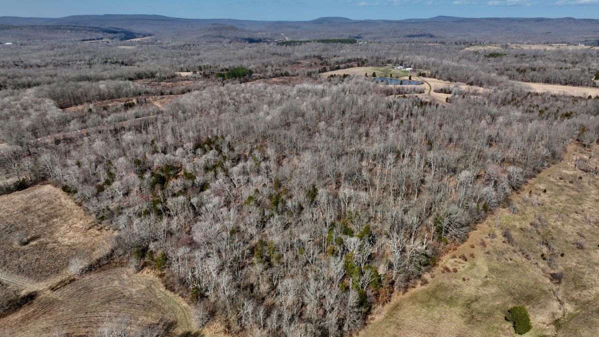 Southern Illinois Timber Hunting Tract For Sale Whitetail Properties