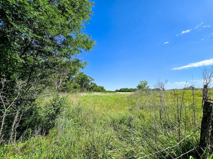 Copy of 20250729_111849