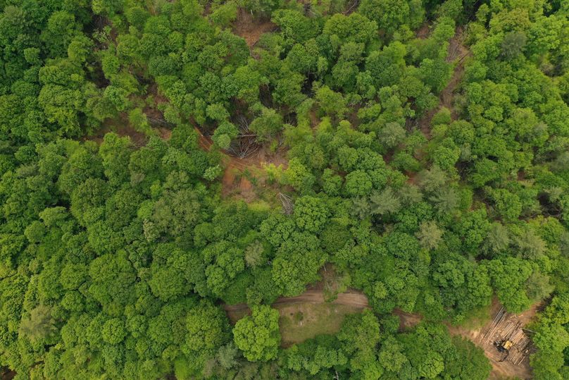 024 low elevation drone shot after the timber activities have been completed
