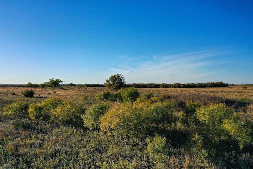 org_dd10f95e8d06e424_1762732286000