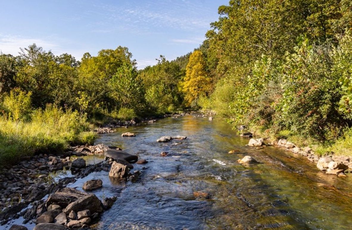 Copy of 146A2636 Large