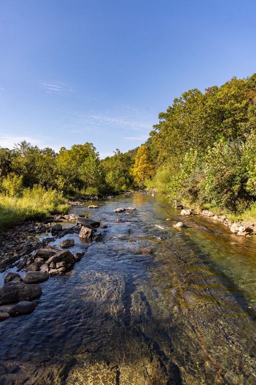 Copy of 146A2636 Large