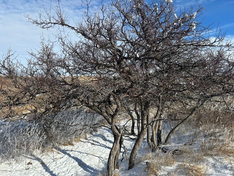 6EA3533C-F146-40DB-80BE-4D8957C96A5F_1_105_c