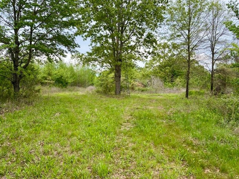 44E60CE0-6159-4740-BA32-59D3824E02CD_1_105_c