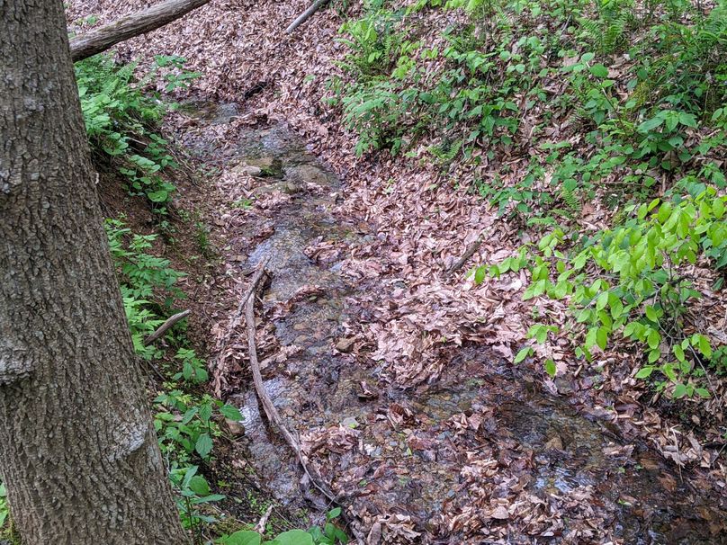 PXL_20230504_222405808