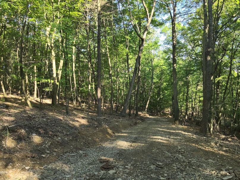 DJI_20240521083630_0022_V