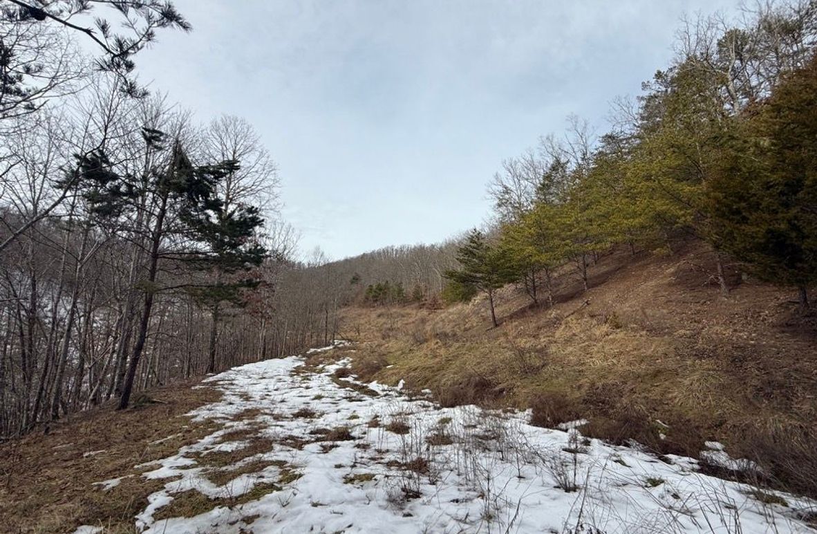 005 the old mine bench leading around the west part of the property