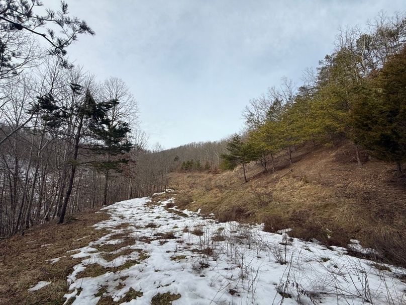 005 the old mine bench leading around the west part of the property