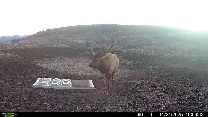 016578003984348-53-3-11242025165643-V-SYFW01824