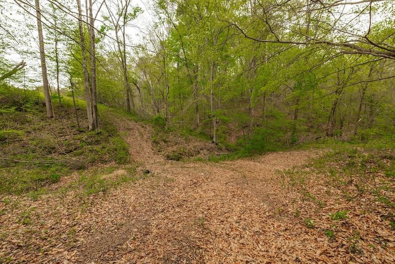 71-web-or-mls-1103 Johnny Spears Rd-65