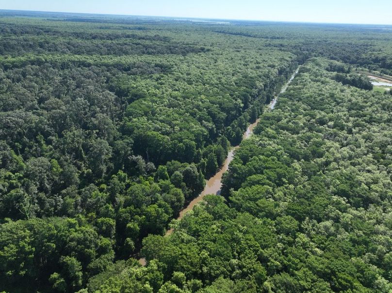 dji_fly_20260513_101858_430_1778687600299_photo