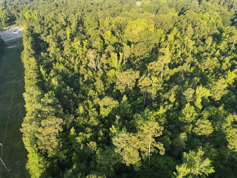 DJI_20250627071452_0013_V