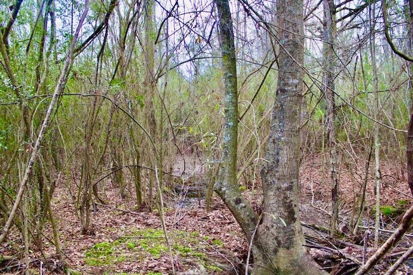 4234D230-4B86-4766-99A6-AD4FA17B31B7_1_105_c