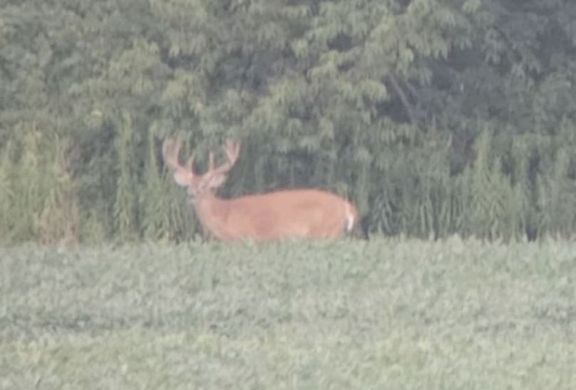 196bb1a7-f039-42ab-9cf0-d0aee5c75e86