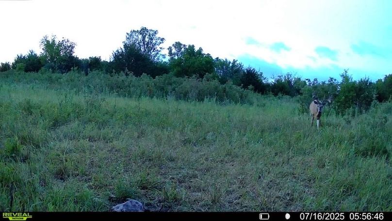 016578004503154-17-2-07162025055646-SYFW10468