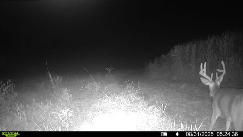 016579006920529-100-4-08312025052436-SYFW00110