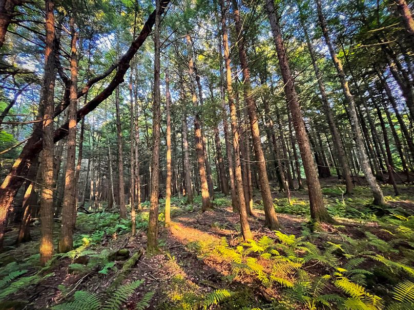 Oswego_30_RouselandInvestments_LLC_Photos_12