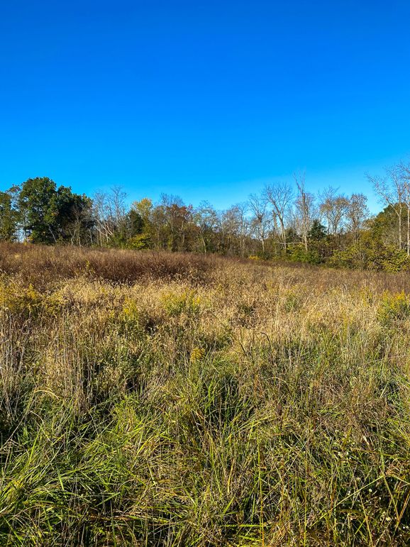 Lewis Johnson 78 003